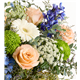213397_alt1